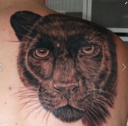 Realistic Panther Head Tattoo On Right Back Shoulder