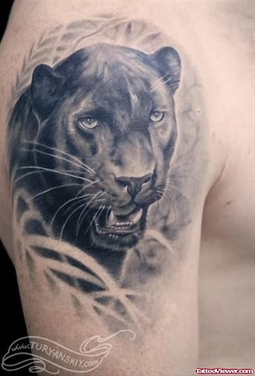 Realistic Panther Tattoo On Man Right Shoulder