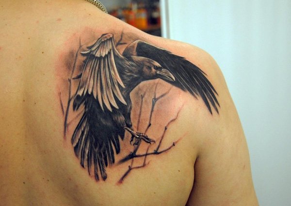 Realistic Raven Tattoo On Right Back Shoulder