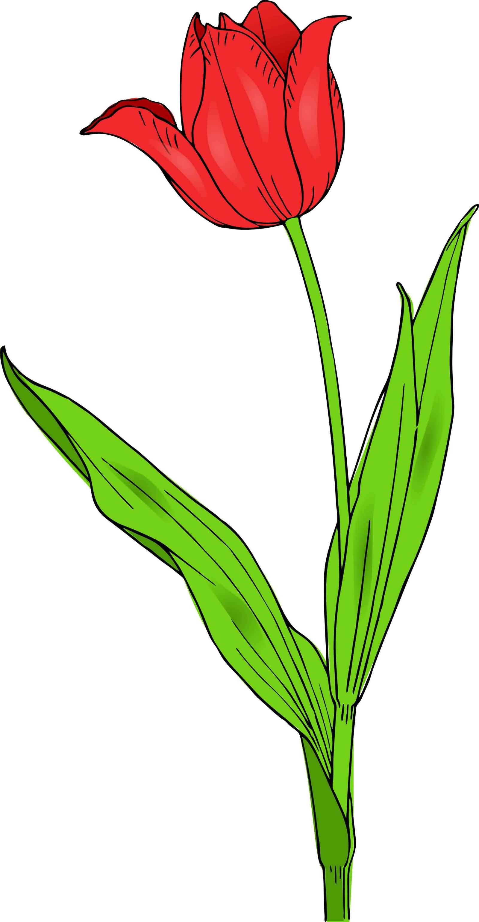 Red Tulip Flower Tattoo Design