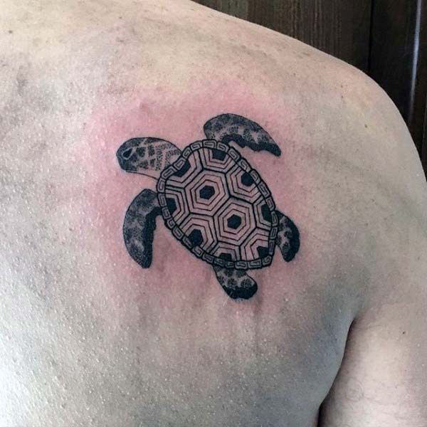 Right Back Shoulder Black And Grey Turtle Tattoo