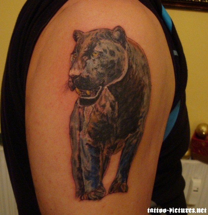 Right Shoulder Panther Tattoo For Men