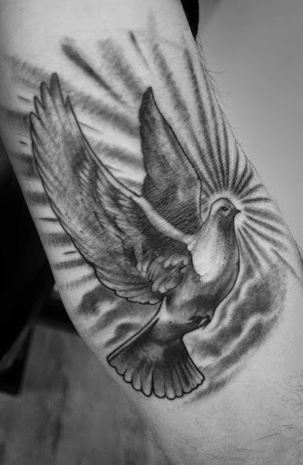 Rising Sun And Flying Dove Tattoo On Arm Sleeve