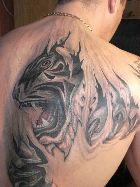 Riupped Skin Panther Tattoo On Man Back