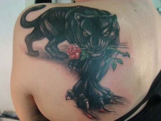 Rose Flower In Panther Mouth Tattoo On Girl Left Back Shoulder