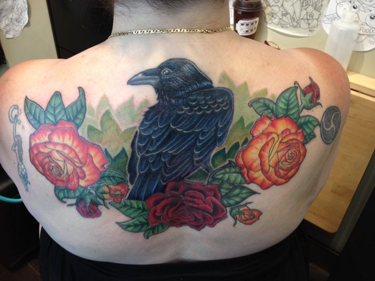 Rose Flowers And Raven Tattoo On Upper Back