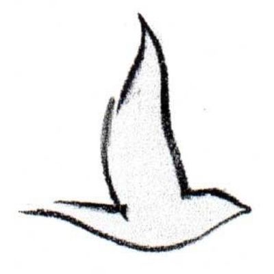 Simple Outline Dove Tattoo Sample