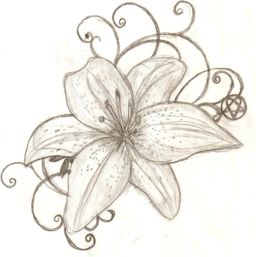 Small Lily Tattoos Design