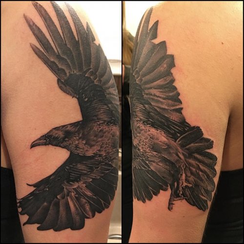 Spread Wings Raven Tattoo On Left Half Sleeve
