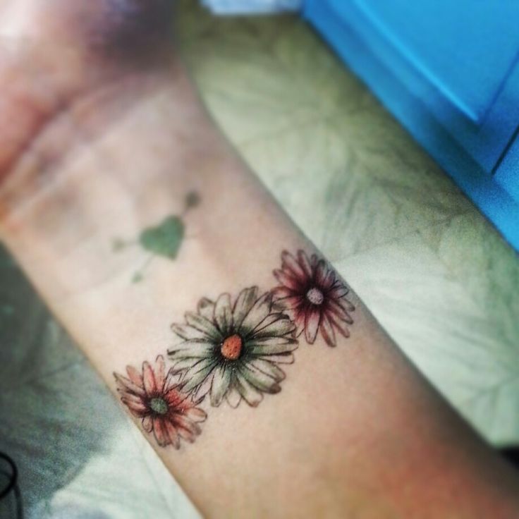 Three Daisy Flowers Tattoos On Right Wrist