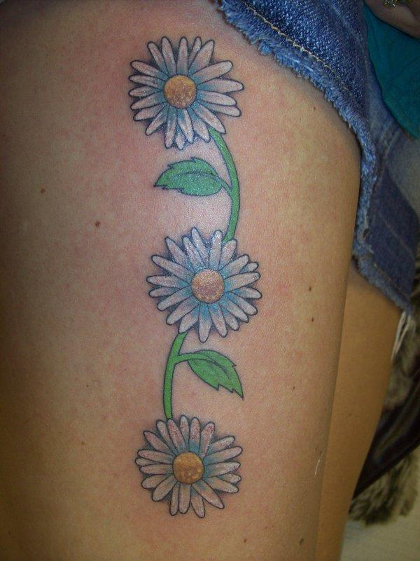 Three Daisy Flowers Tattoos On Girl Right Thigh