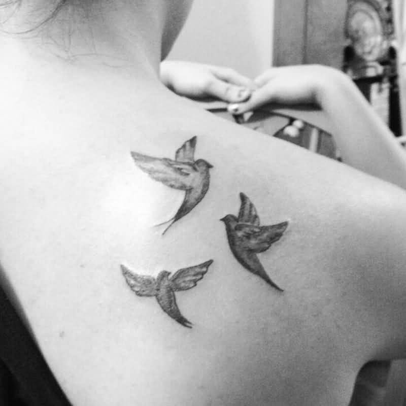 Three Flying Peace Dove Tattoos On Back Shoulder