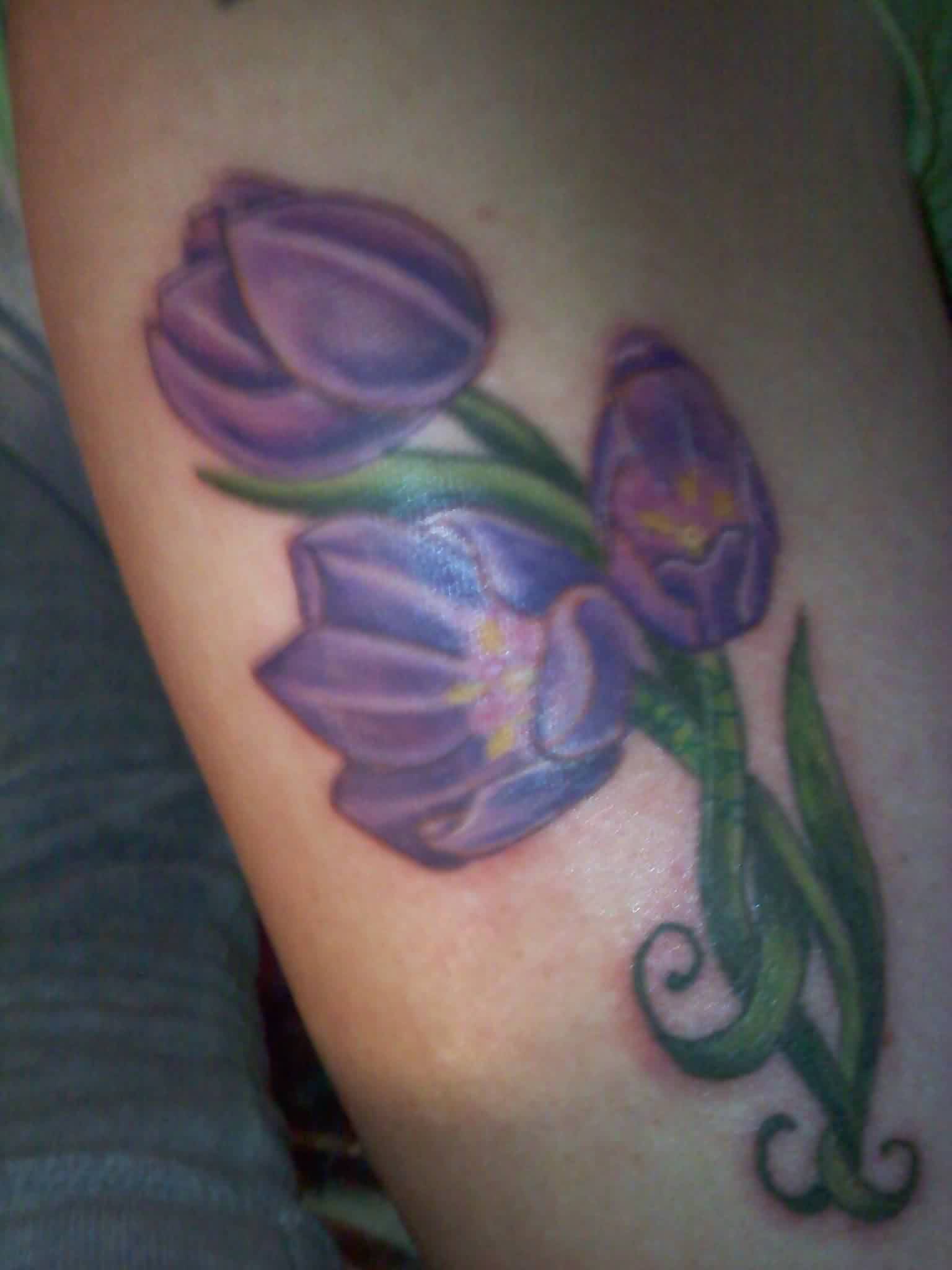 Three Purple Tulip Tattoos On Leg
