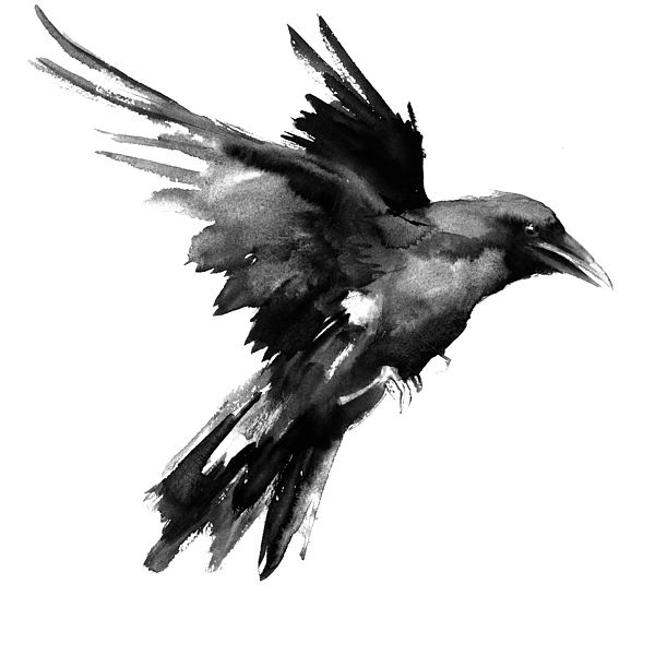Watercolor Black And Grey Raven Tattoo Design