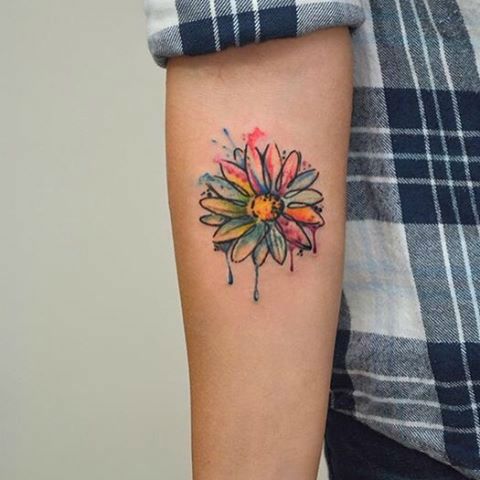 Watercolor Small Daisy Flower Tattoo On Right Forearm