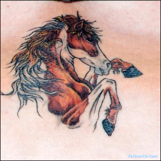 White And Brown 3D Horse Tattoo