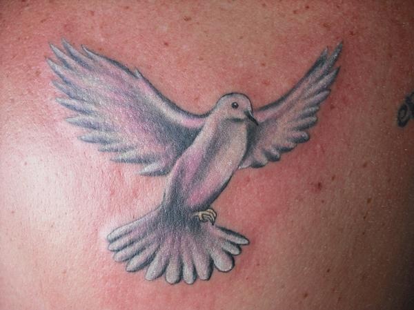 White And Grey Flying Dove Tattoo