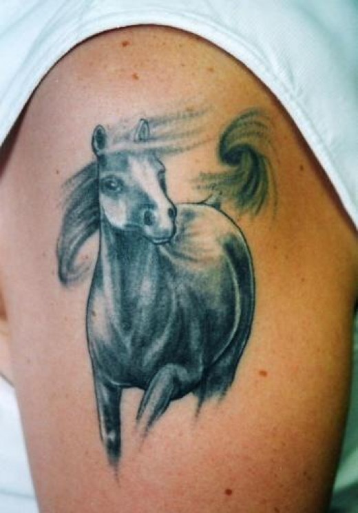 White And Grey Horse Tattoo On Left Shoulder