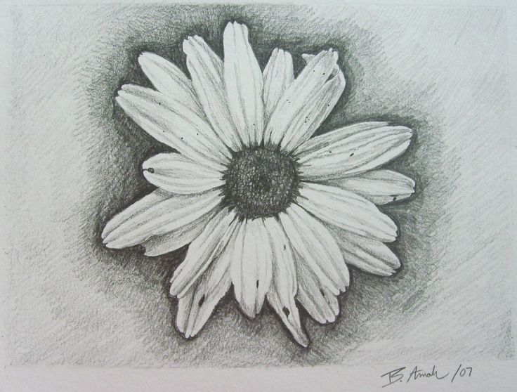 White Daisy Flower Tattoo Design