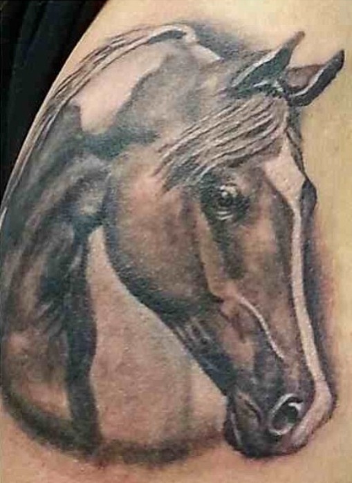 White and Grey Horse Tattoo On Shoulder