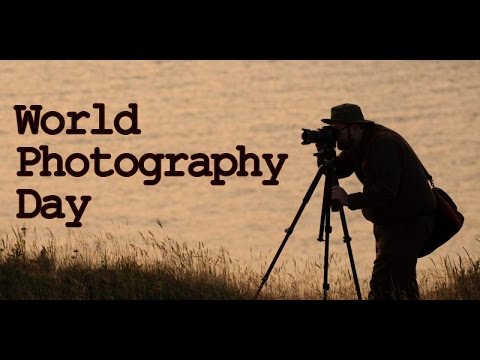 World Photography Day Cameraman Taking Photograph
