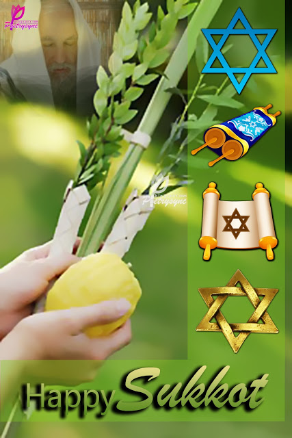 Happy Sukkot Tree Branch In Hand