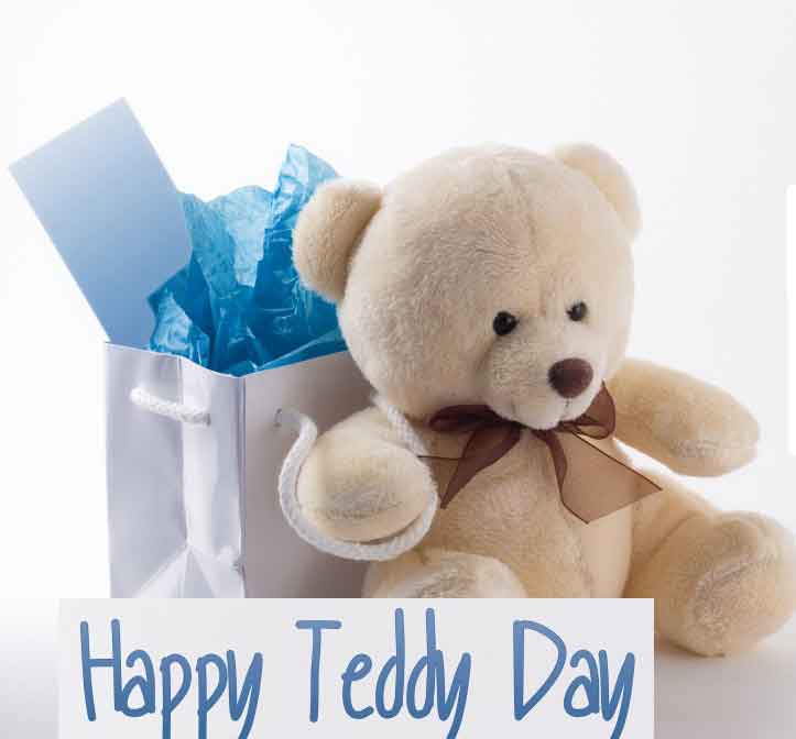 Happy teddy day cute teddy bear picture