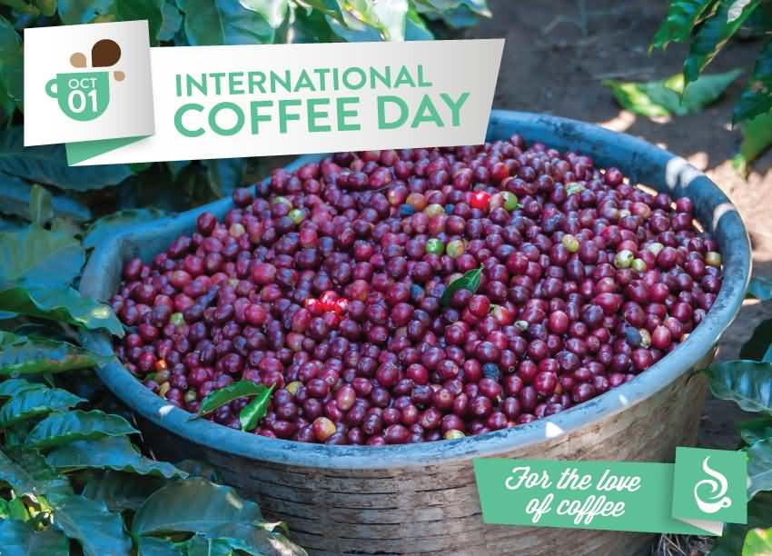 October 1 International Coffee Day For The Love Of Coffee