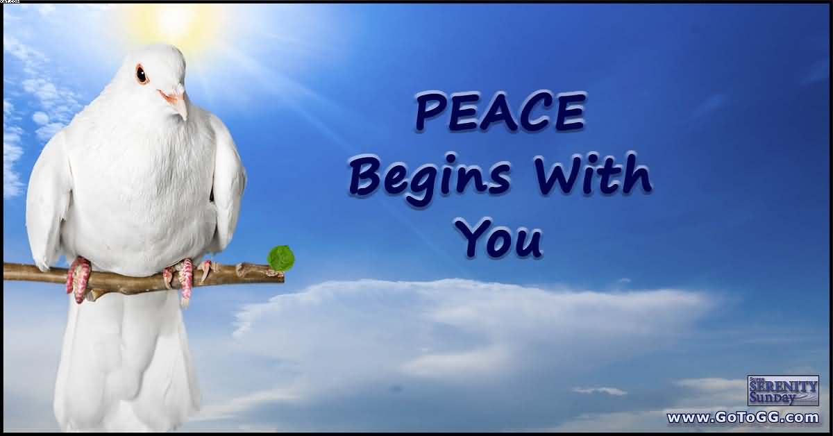 Peace Begins With You International Peace Day Dove Picture