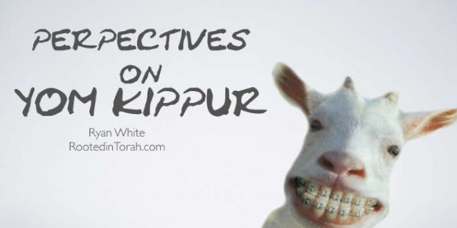 Perpectives On Yom Kippur Smiling Lamb