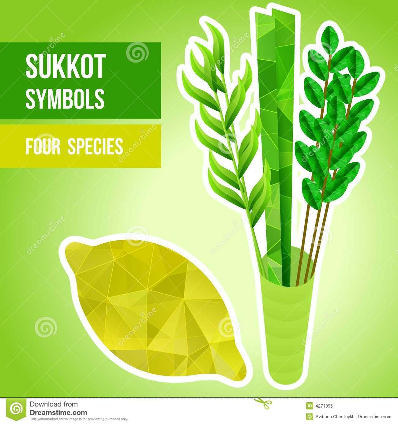 Sukkot Symbols Four Species Illustration