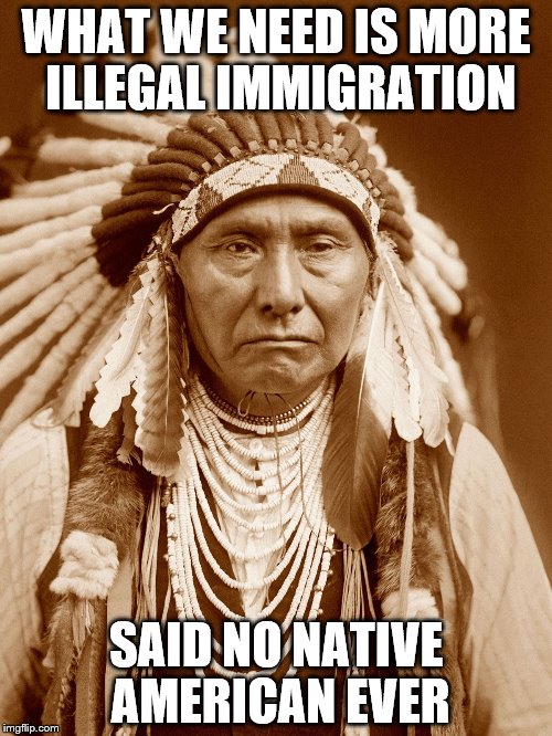 What we need is more illegal immigration said no native american ever Happy Native American Day