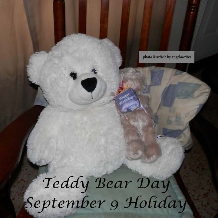 teddy bear day september 9 holiday