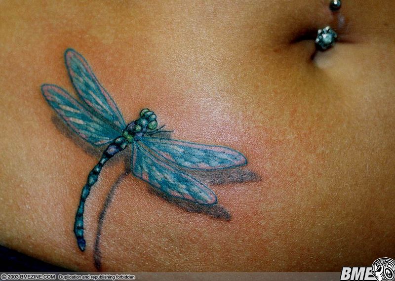 3d Dragonfly Tattoo On Stomach