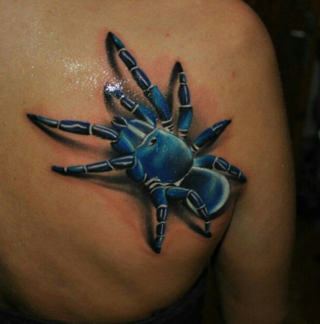 3d blue Spider Tattoo On Back Shoulder