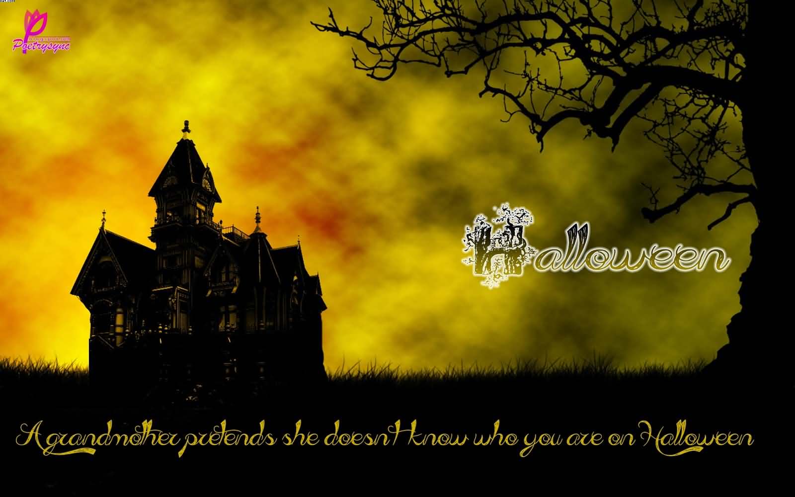 A grandmother pretends she doesn’t know who you are – Halloween wallpaper