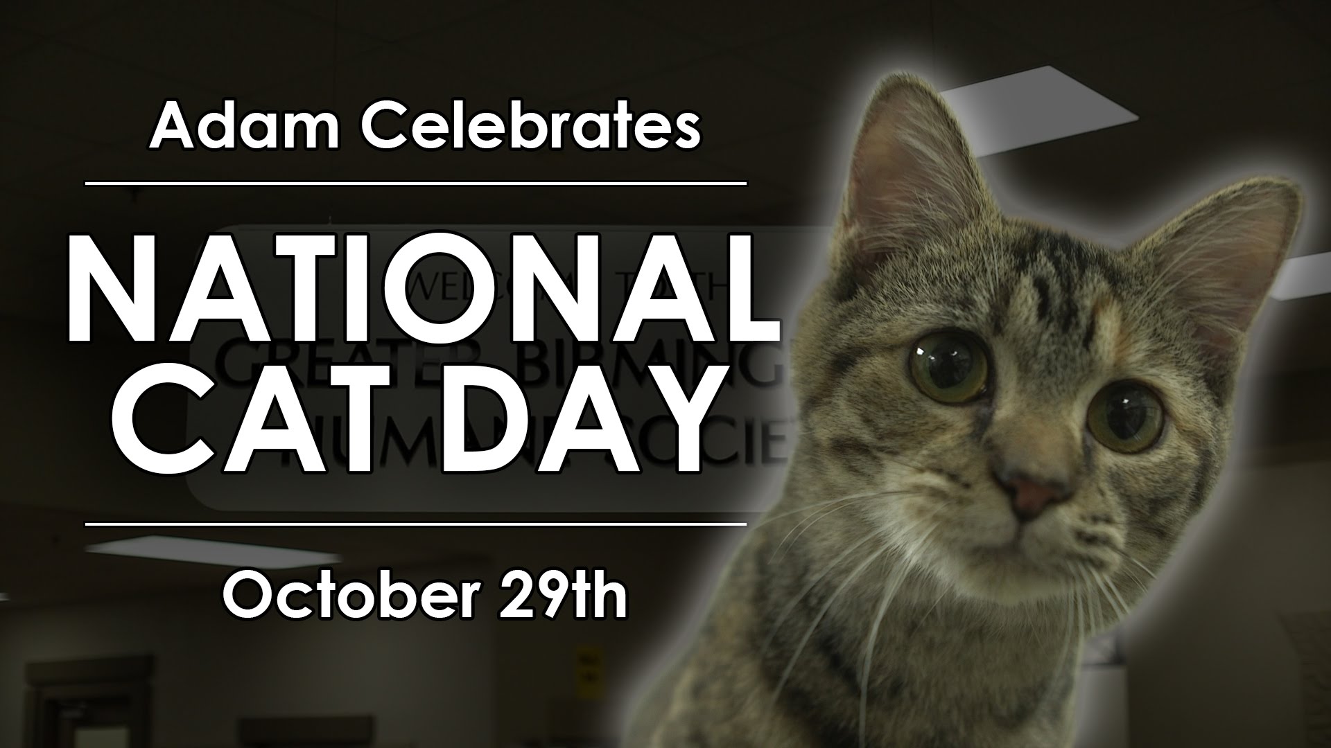 Adam Celebrates National Cat Day October 29th