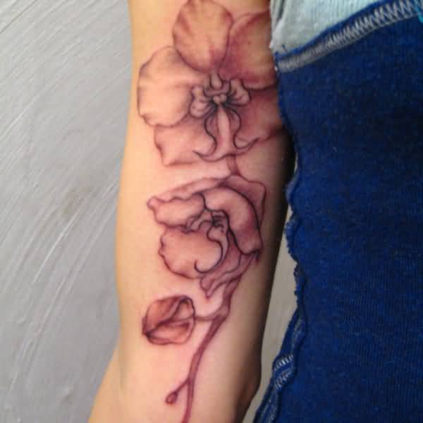 Adorable Orchid Flower Tattoo On Forearm
