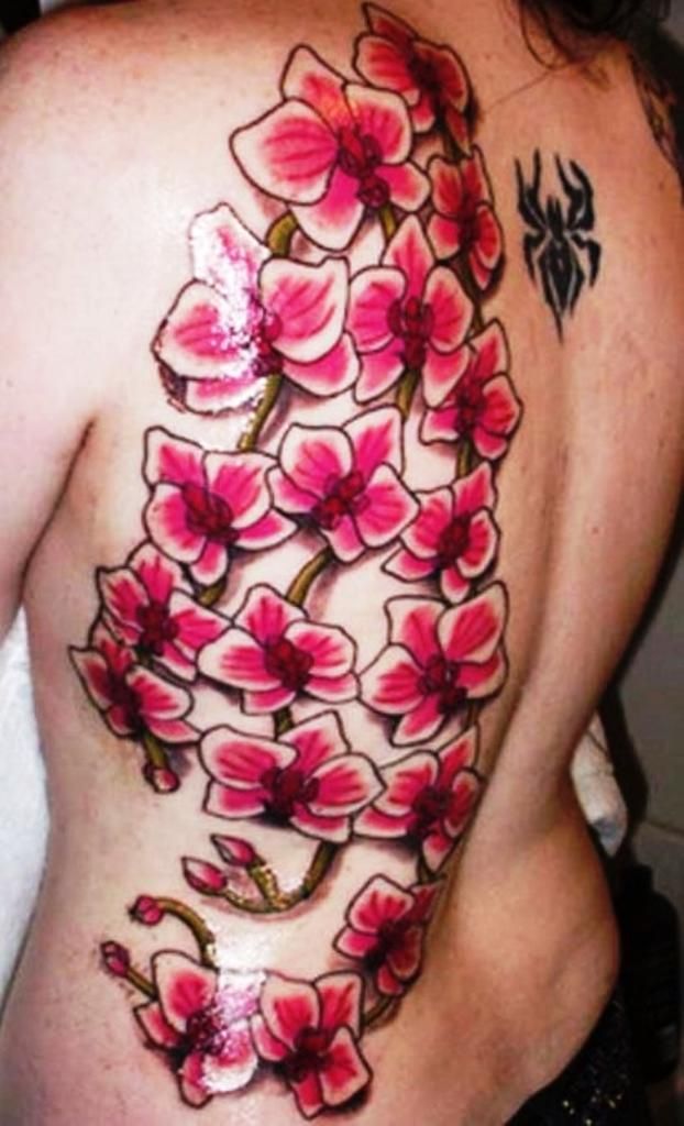 Adorable Pink Orchid Tattoo On Full Back