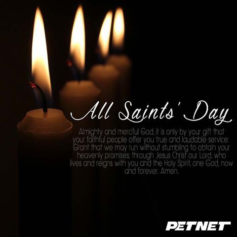 All Saint’s Day candles picture