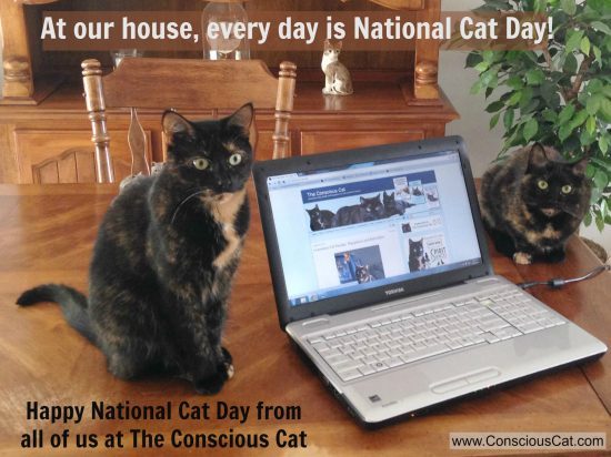At Our House Every Day Is National Cat Day