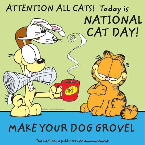 Attention All Cats Today Is National Cat Day
