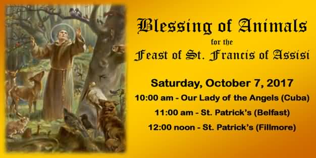 Blessing Of Animals For The Feast Of Saint Francis Of Assisi 7 October, 2017
