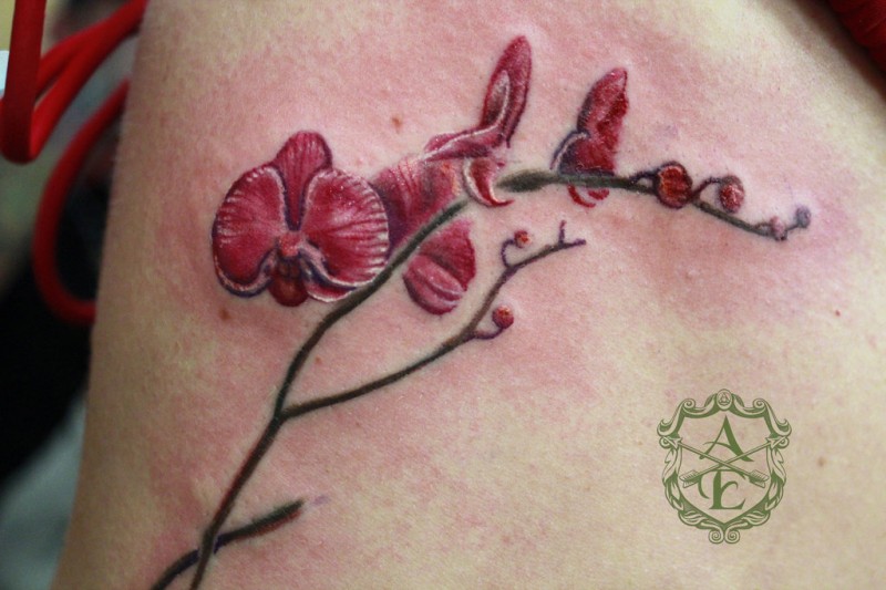 Branch Of Red Orchid Tattoo On Rib