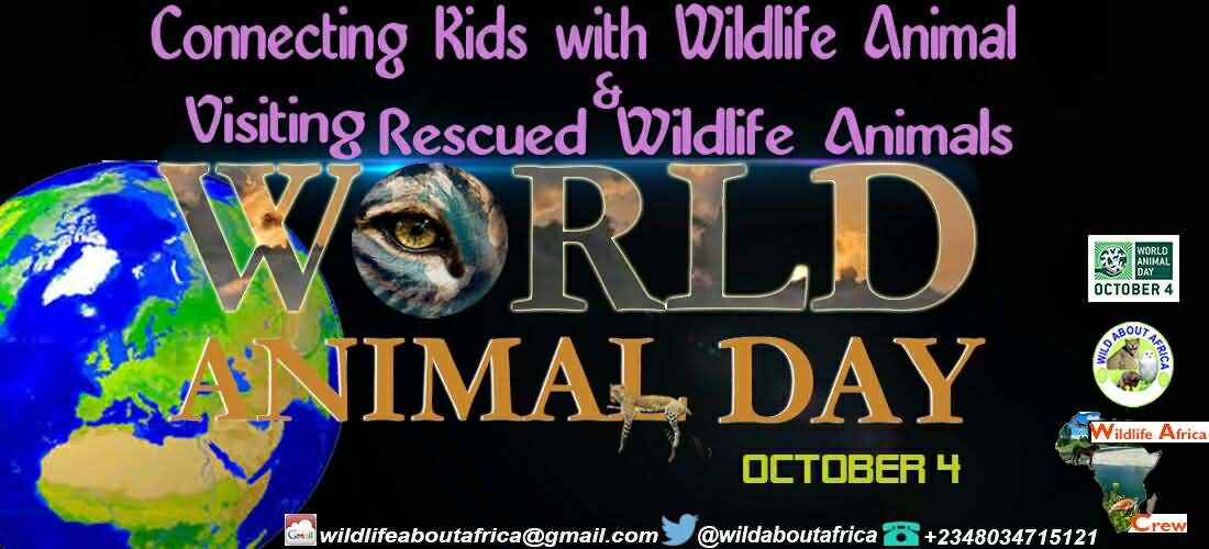 Connecting Kids With Wildlife Animal Visiting Rescued Wildlife Animals World Animal Day