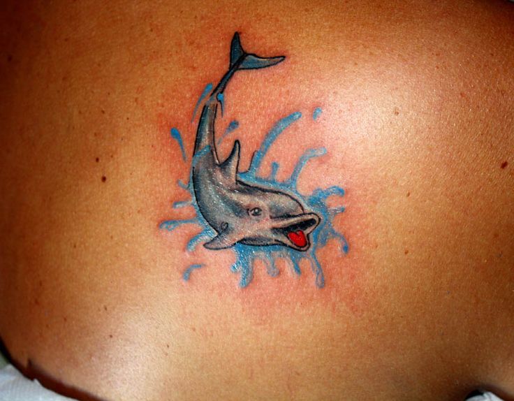 The Best Dolphin Tattoos