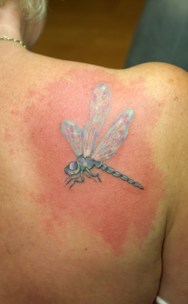 Cute Dragonfly Tattoo On Shoulder