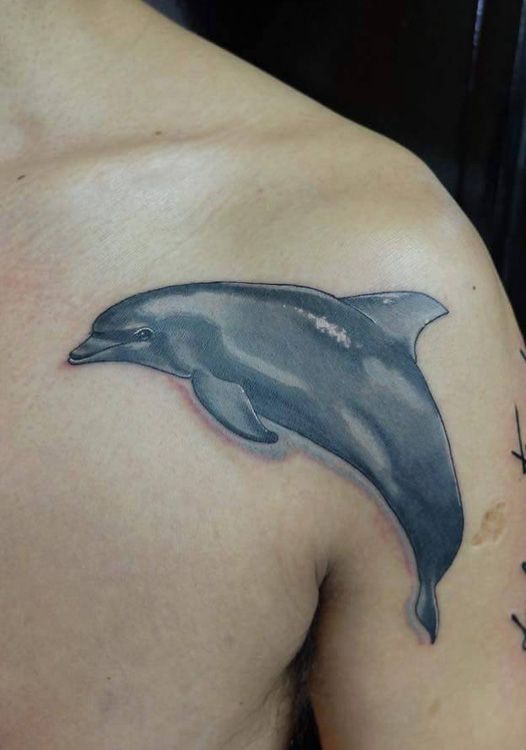 The Best Dolphin Tattoos