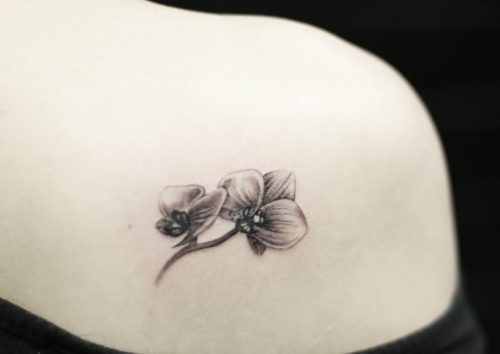 Gray Small Orchid Flower Tattoo On Back Shoulder,Country Ribs In Oven Quick