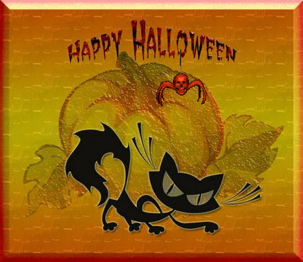 Happy Halloween black cat animated spider pumpkin background picture